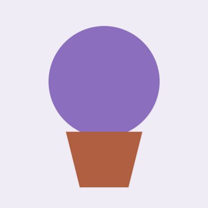 Lavanda en maceta