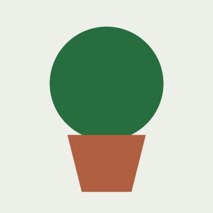 Monstera deliciosa